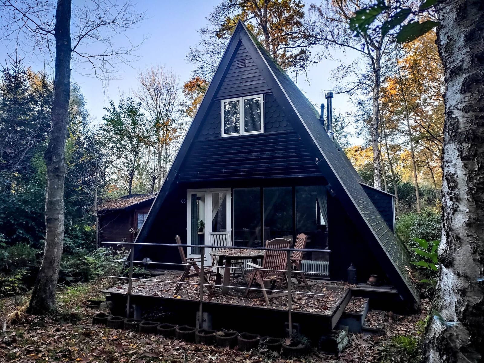 Het terras voor de chalet, tussen de bomen